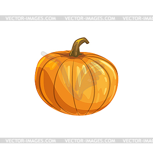 Pumpkin Halloween party decoration gourd - vector clipart