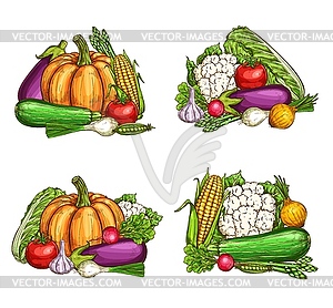 Natural farm vegetables harvest - vector image