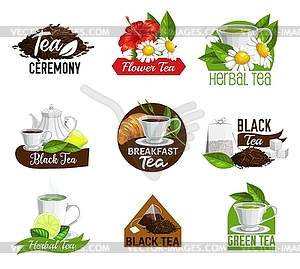 Herbal black and green tea, teabags icons - vector clip art