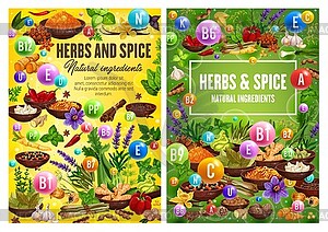 Herbs and spices, seasonings and condiments - vector image