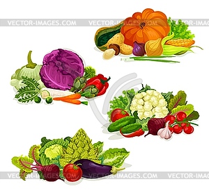 Vegetables, vegetarian food salads and cabbages - vector clip art