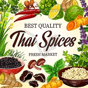 Thai cooking spices and herbs, Asian seasonings - vector image