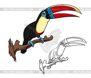 Citron throated toucan mascot, tropical bird - vector clipart