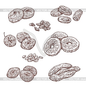 Candied berries and dried fruits food sketches - vector clipart