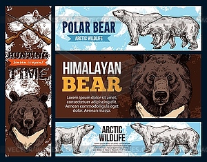 Himalayan and polar arctic bears, hunting - vector clip art