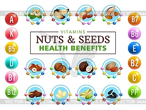 Vitamin complex in healthy nuts, grains and seed - vector clipart