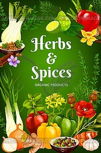 Cooking spices, herb flavorings and seasonings - vector clip art