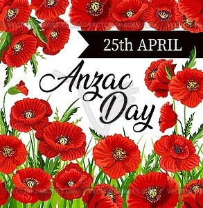Красные цветы мака дня Анзака - векторная иллюстрация