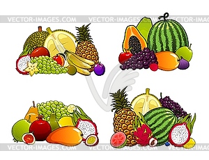 Экзотические фермерские фрукты, тропические фруктовые десерты - векторное изображение