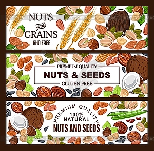 GMO free natural seeds, nuts and cereal grains - vector image