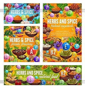 Vitamins in spices, pepper, cinnamon and ginger - vector image