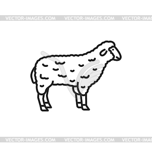 Lamb or sheep domestic animal icon - vector image