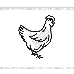 Петух цыпленок монохромный курица птица - изображение в векторе