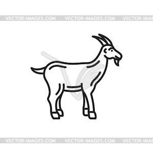 Рогатый домашний козел, скот млекопитающее - изображение в векторном формате