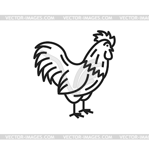 Cock icon male chicken rural bird - vector clipart