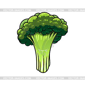 Cauliflower cartoon - vector clipart