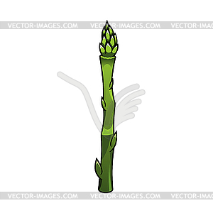 Asparagus cartoon - vector image