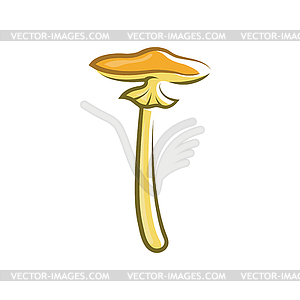 Poison inedible toadstool mushroom fungi - vector image