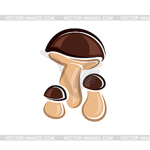 Edible mushroom boletus with brown cap - vector clipart