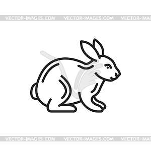 Hare or rabbit line art icon, domestic bunny - vector clipart