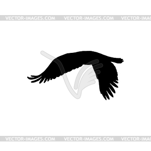 Eagle in flight falconry symbol - vector clipart