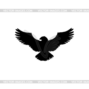 flying hawk clipart