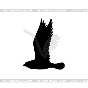 Eagle in flight falconry sport symbol - vector clip art