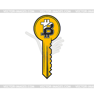 Cryptocurrency safety sign key, bitcoin - vector clipart