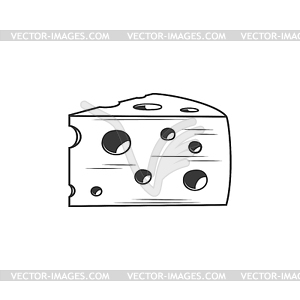 Cheddar cheese with holes edam maasdam - royalty-free vector image