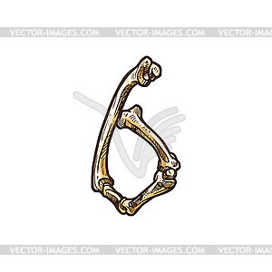 6 digit of bone joints, typography font - vector EPS clipart