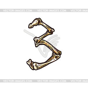 3 digit of human bones, three number numeral - stock vector clipart