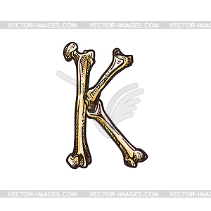 K letter of skeleton bones Halloween ABC - vector image