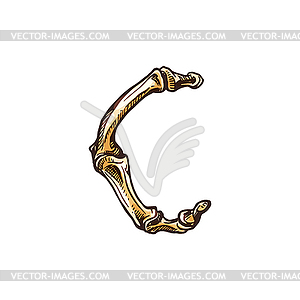 Letter spooky sign alphabet of bones icon - vector image