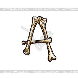 Letter ABC element of human bones - vector clipart