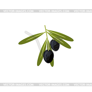 Black live fruits twig with leaves plant - color vector clipart