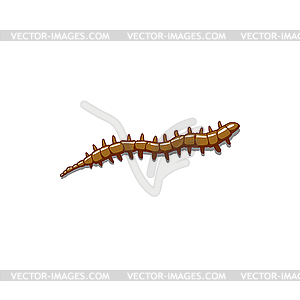 Волосатый червь коричневой гусеницы - векторный графический клипарт
