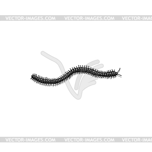 Crawling black worm hairy earthworm - vector clip art