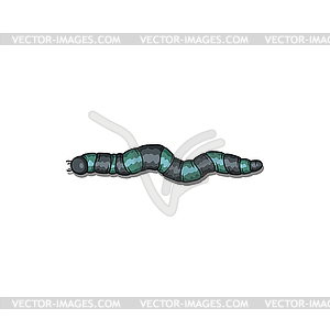 Tubular worm striped slug caterpillar - vector clipart