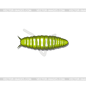 Сухопутный гусеничный глист - векторное изображение