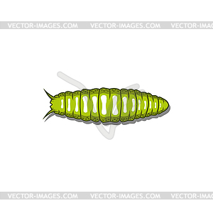 Shell-less land mollusk caterpillar worm - vector image