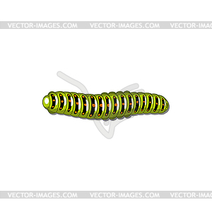 Cabbageworm pest parasite caterpillar - vector image