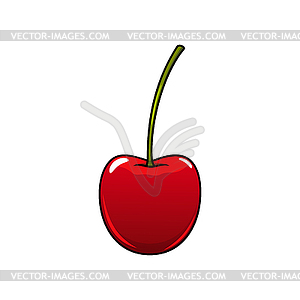 Red stone fruit cherry ripe berry - vector image