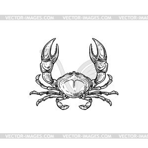 Marine crab crustacean animal - vector clip art