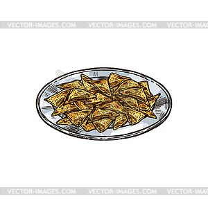 Tex-Mex dish totopos nachos in plate - vector image