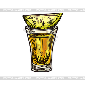 tequila shot clip art