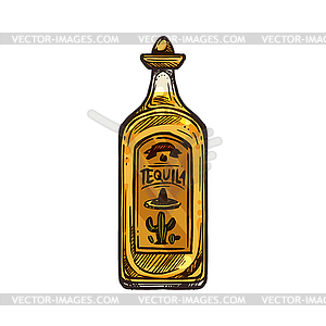 Bottle of tequila with sombrero cap drink - vector image