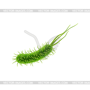 Green bacterial germ viral infection - vector clipart / vector image