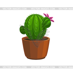 Potted cactus plant with pink blooming flower - vector clipart