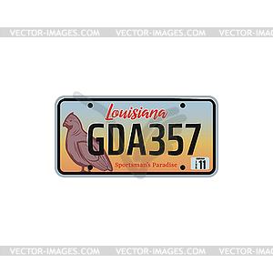 Car registration number and license plate in USA - vector image