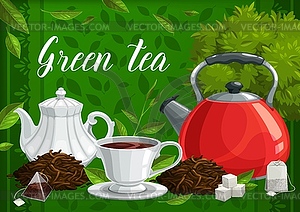 Green and herbal tea leaves and hot beverage cup - vector image